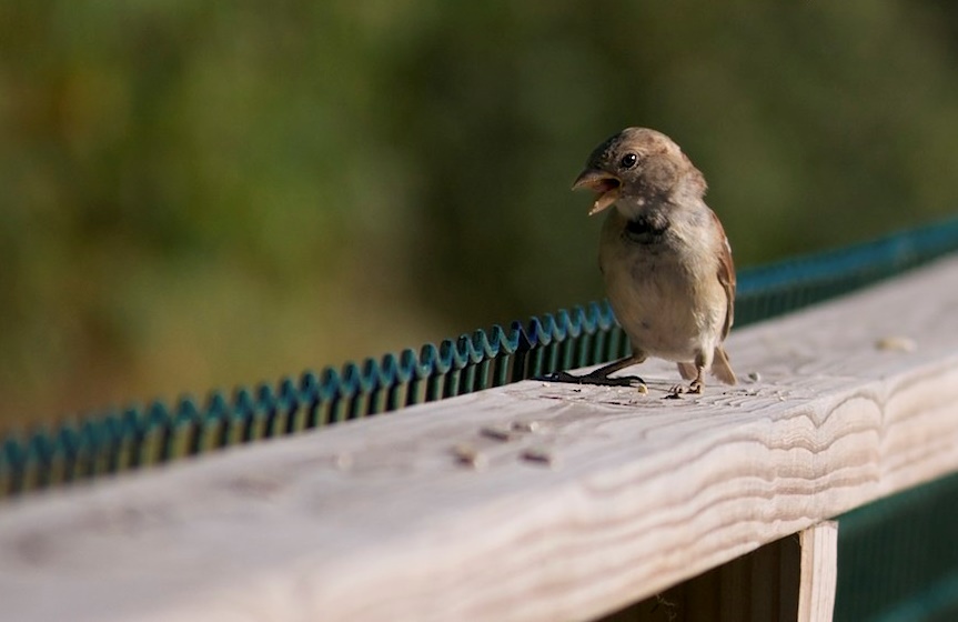 7 Reasons To&nbsp;Tweet